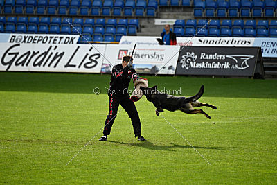 Aelec vom Kerberos