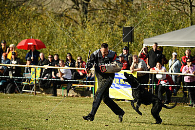 Afra con todos los santos