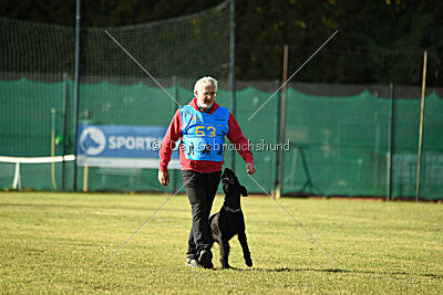 Afra con todos los santos