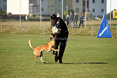 Afra von der schwarzen Mamba