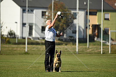 Afra von der schwarzen Mamba