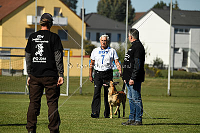 Afra von der schwarzen Mamba