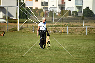Afra von der schwarzen Mamba
