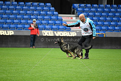 Aik vom Wolfsursprung