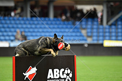 Aik vom Wolfsursprung