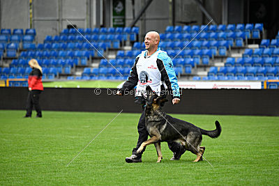 Aik vom Wolfsursprung