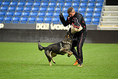 Aik vom Wolfsursprung