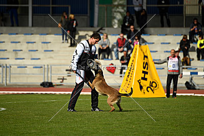 Aika vom Spiritus Lusitanus