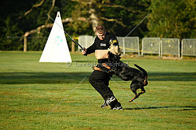 Aika von Bernau Rehberge