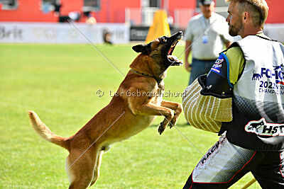 Aikido vom puren Leben