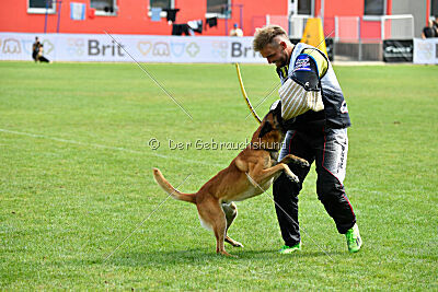 Aikido vom puren Leben