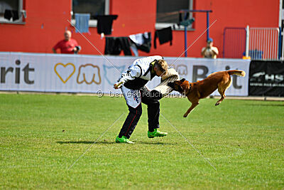 Aikido vom puren Leben