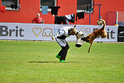 Aikido vom puren Leben