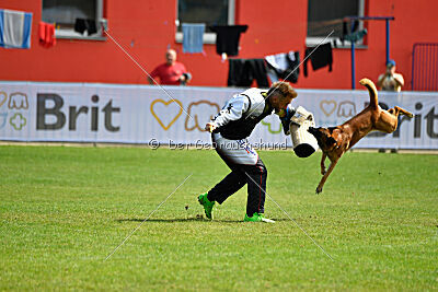 Aikido vom puren Leben