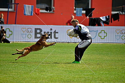 Aikido vom puren Leben