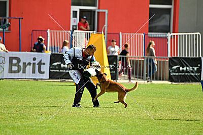 Aikido vom puren Leben