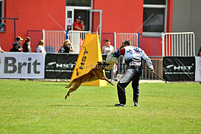 Aikido vom puren Leben