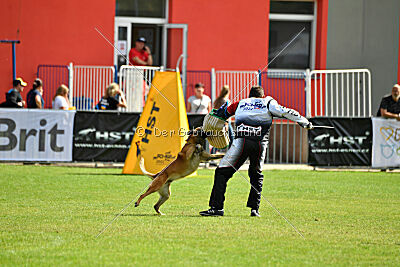Aikido vom puren Leben