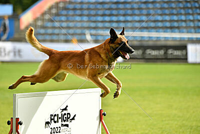 Aikido vom puren Leben
