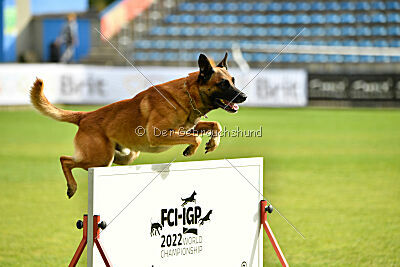 Aikido vom puren Leben