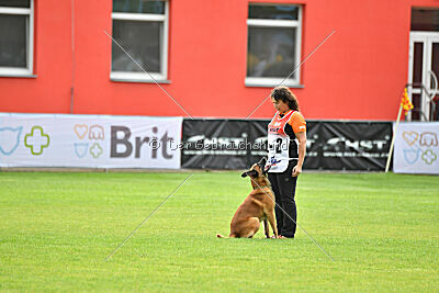 Aikido vom puren Leben