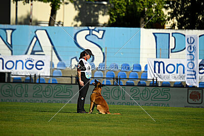 Aikido vom puren Leben