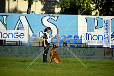 Aikido vom puren Leben