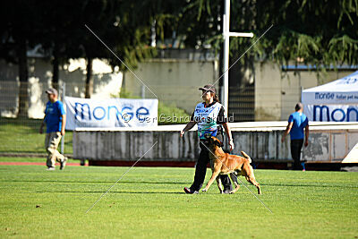 Aikido vom puren Leben