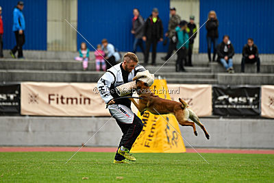 Aikido vom puren Leben