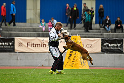 Aikido vom puren Leben