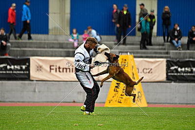 Aikido vom puren Leben