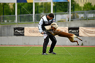 Aikido vom puren Leben