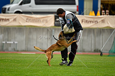 Aikido vom puren Leben
