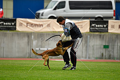 Aikido vom puren Leben