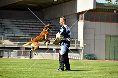 Aikido vom puren Leben