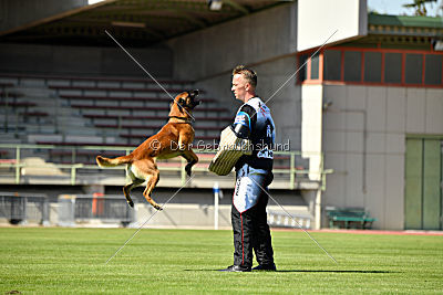 Aikido vom puren Leben