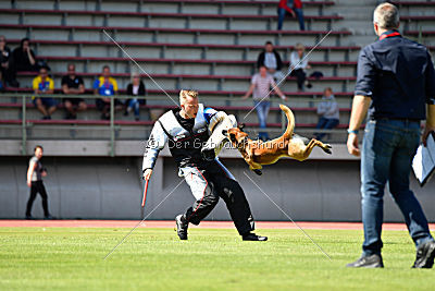 Aikido vom puren Leben