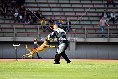 Aikido vom puren Leben