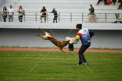 Aikido vom puren Leben
