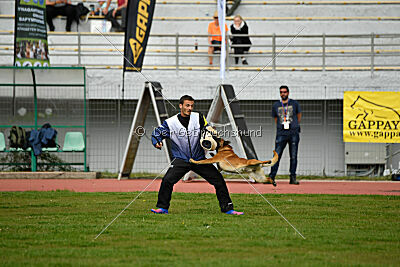 Aikido vom puren Leben