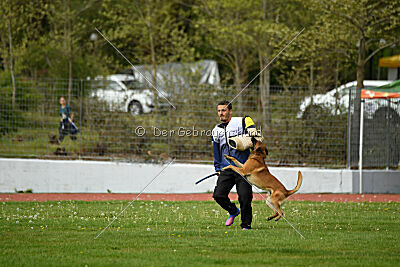 Aikido vom puren Leben