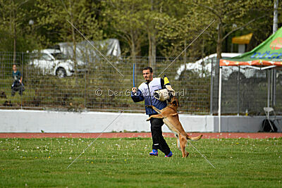 Aikido vom puren Leben