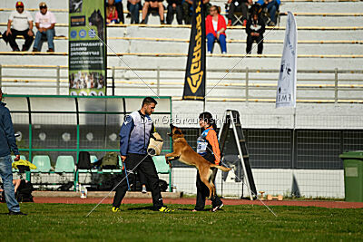 Aikido vom puren Leben