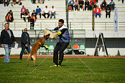 Aikido vom puren Leben