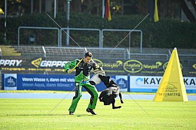 Aiko von den Böckinger Seeräubern