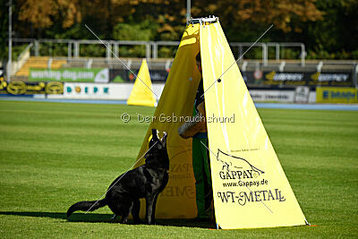 Aiko von den Böckinger Seeräubern