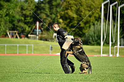 Aiko von der alten Stolzenburg
