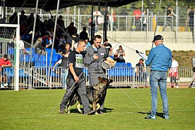 Aiko von der alten Stolzenburg