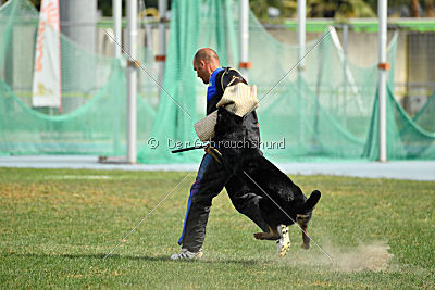 Airon von der Nilo World