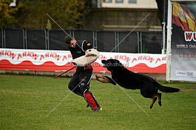 Airon von der Nilo World